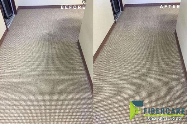Before and after professional carpet cleaning by Louisville Mold Cleanup Louisville